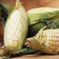 Thumbnail Image: Food - corn-closeup.jpg