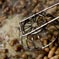 Thumbnail Image: Food - peanuts.jpg
