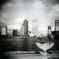 Thumbnail Image: Other - glass-at-downtown.jpg