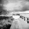 Thumbnail Image: Other - straight-glass-at-beach.jpg