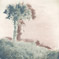 Thumbnail Image: Other - tree.jpg